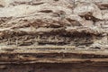 Rock layers texture. Sedimentary rocks Royalty Free Stock Photo