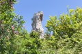 Rock and lemon-tree in Archaeological Park at Syracusa, Sicily Royalty Free Stock Photo