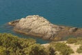The rock, like a turtle, looks out of the water of the Bay.Black Sea.