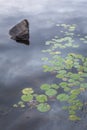 Rock and Lily Pads on a Canadian Lake Royalty Free Stock Photo