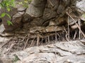 Rock at Mae Sa Waterfall, Thailand Royalty Free Stock Photo