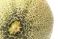 Rock melon closeup Royalty Free Stock Photo