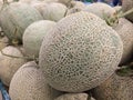 rock melon