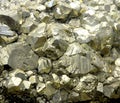 Rock with mineral PYRITE crystals or gold just found by Geologist