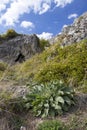 The rock monasteries on the Shumen Plateau