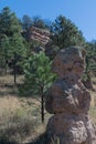 Rock Monolith views his forest.