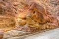 Rock monument resembling an elephant and a fish in the siq canyon at Petra, Jordan Royalty Free Stock Photo