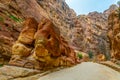 Rock monument resembling an elephant and a fish in the siq canyon at Petra, Jordan Royalty Free Stock Photo