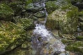 Rock moss and streams