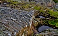 Rock Moss Water landscape