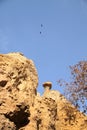 Rock on mountain with birds flying on blue sky Royalty Free Stock Photo