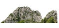 rock mountain hill with green forest isolate on white background