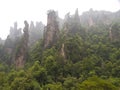 Rock mountain in Zhangjiajie.