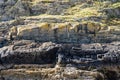 Rock mountains textures with a flowers Royalty Free Stock Photo