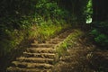 Rock and mud stairs going to the light in a forest near Honolulu, US Royalty Free Stock Photo