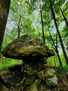 Rock Mushroom forest nature art