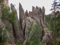 Rock needles in Custer State Park, USA Royalty Free Stock Photo