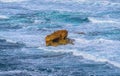 Battered rock in wild stormy ocean Royalty Free Stock Photo