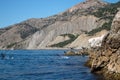 Rock outlier on the background of mountain