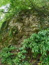 Rock, Overgrown With Moss On A Green Mountain Slope