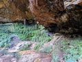 Rock Overhang on the Prince Henry Cliff Track in the Blue Mountains of New south Wales. Surrounded by Australian bush and ferns