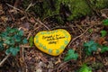 A rock painted yellow with the words `Spread a Little Sunshine` written on the rock surrounded by lush green plants