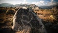 Rock painting aka petroglypgs at the field in Cholpon-Ata, Issyk-kul, Kyrgyzstan Royalty Free Stock Photo