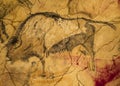 Rock painting from Altamira cave