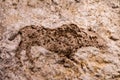 A rock painting in Catalhoyuk from stone age Royalty Free Stock Photo