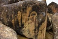 Rock paintings of ancient people