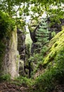 Rock panorama, sandstone rock city, Cesky raj