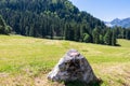 Bodental - Rock with path mark on lush green alpine meadow with scenic view of Karawanks mountains, Bodental