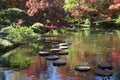 Rock path in pretty Japanese garden