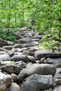 Rock path smoky mountains Royalty Free Stock Photo