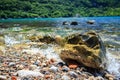 Rock and pebbles on coast. Green forest near the sea landscape