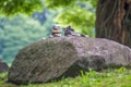 Rock pile from Haeinsa Temple - UNESCO World Heritage List - South Korea