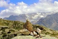 Rock piles cairns guidance on a mountain Royalty Free Stock Photo