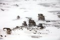 Rock pillars on Severnaya Zemlya in Arctic