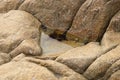 Rock pool on the beach in a crevice of sandstone rocks, close up Royalty Free Stock Photo