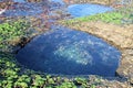 Rock Pool on Bongon Beach Australia Royalty Free Stock Photo