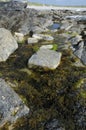Rock Pool Royalty Free Stock Photo