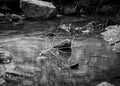 Rock pool in monochrome, landscape photography