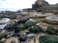 Rock pool Royalty Free Stock Photo