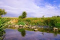 Rock pool in the river Calder.