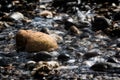 Rock pool. Rocks pebbles and stiones in a stream. Dark background image of natural geology.