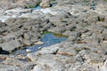 Rock pool in rocks by the sea at Porthcawl, Wales.