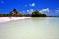 And rock in the relax of isla contoy mexico Royalty Free Stock Photo