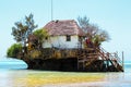 The rock restaurant Zanzibar pingwe Royalty Free Stock Photo