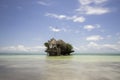 The Rock restaurant, Zanzibar