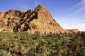 Rock Rising Above The Tinghir Oasis